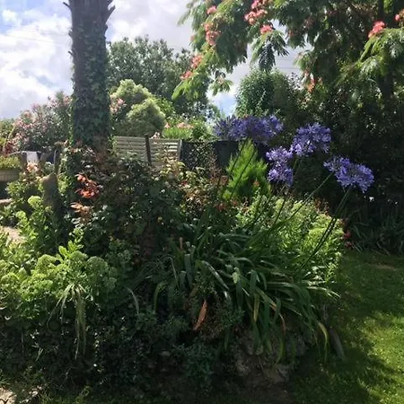 Panzió Chez Brown 3*