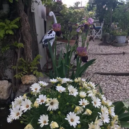 Panzió Chez Brown 3*